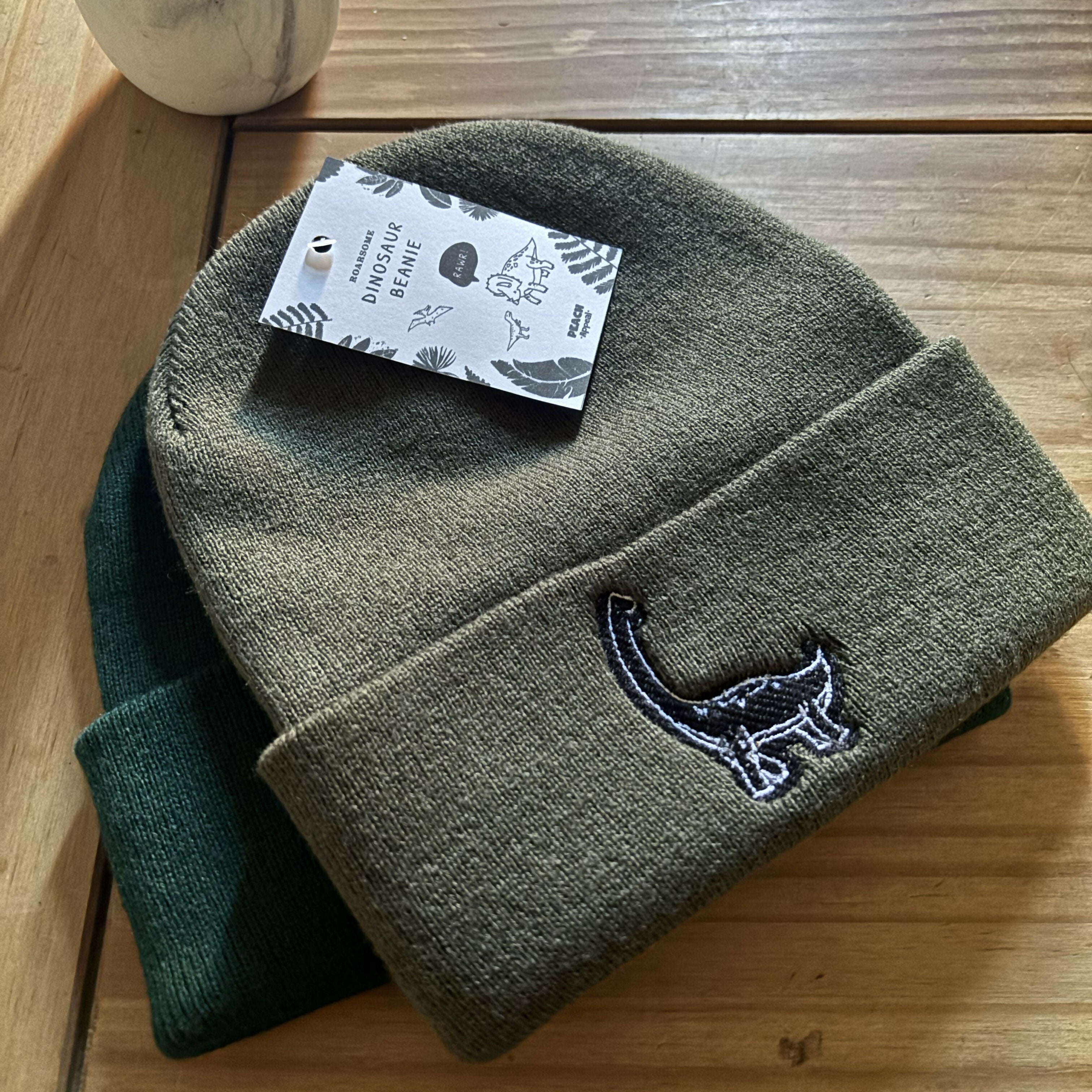 Dinosaur Embroidered Green Beanie Hat