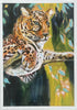Leopard Resting After Lunch ! - Print