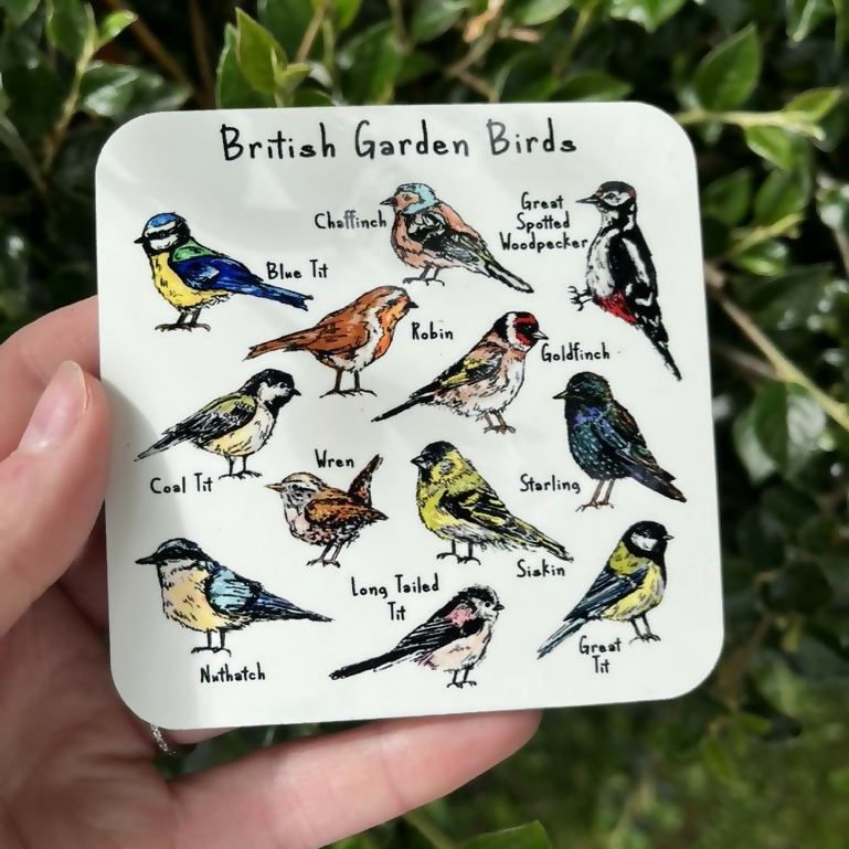British Garden Birds Coaster
