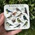 British Garden Birds Coaster