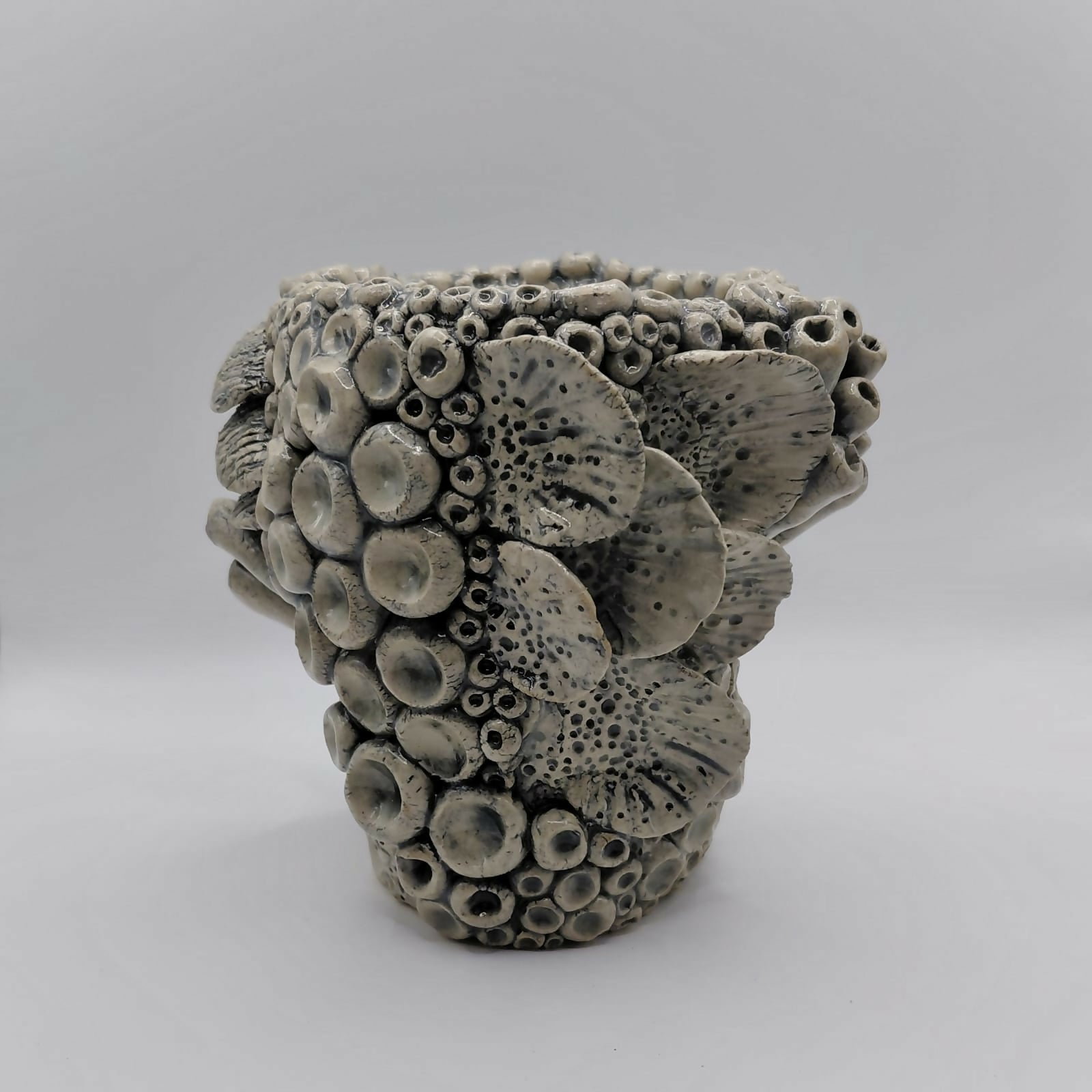 Sea Nook Pot