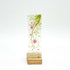 Blossom Branch Small Plinth