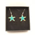 Bluey Green Enamel Starfish Earrings