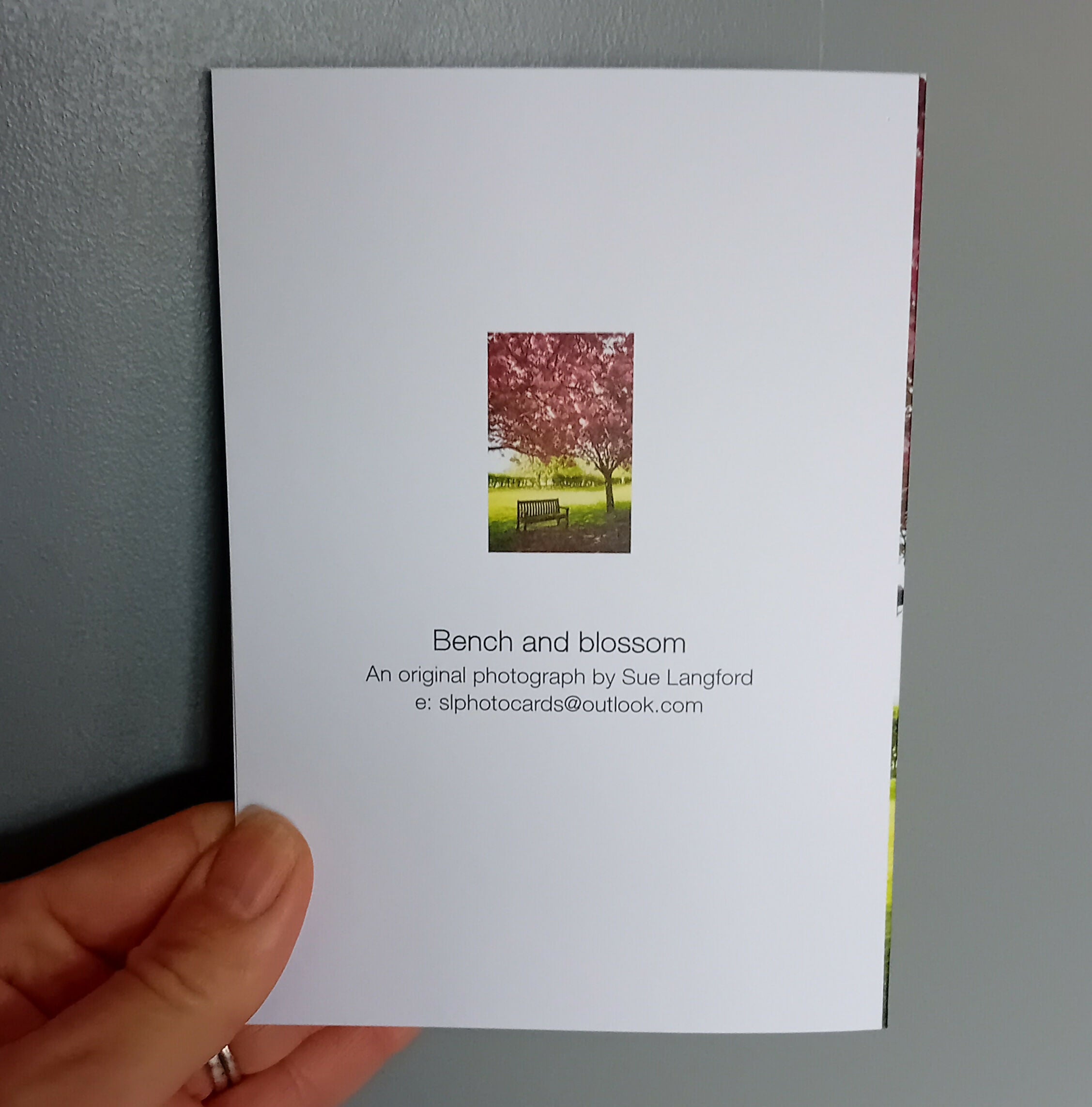 Bench In The Blossom (card)
