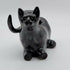 Midnight Cat