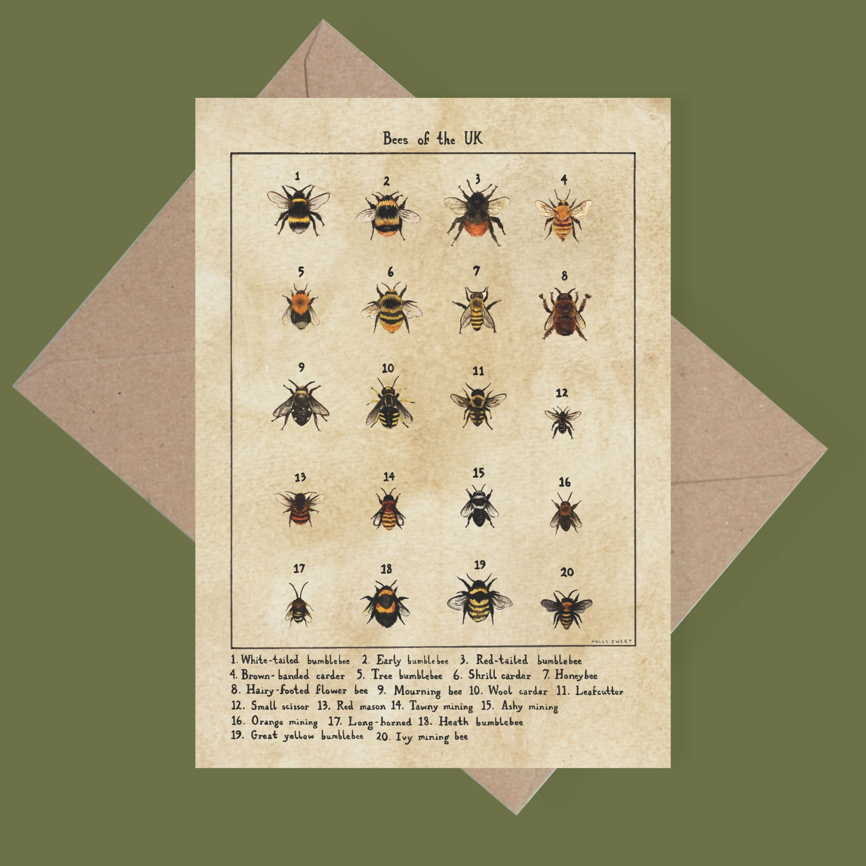 Bees Of The UK Greetings Card