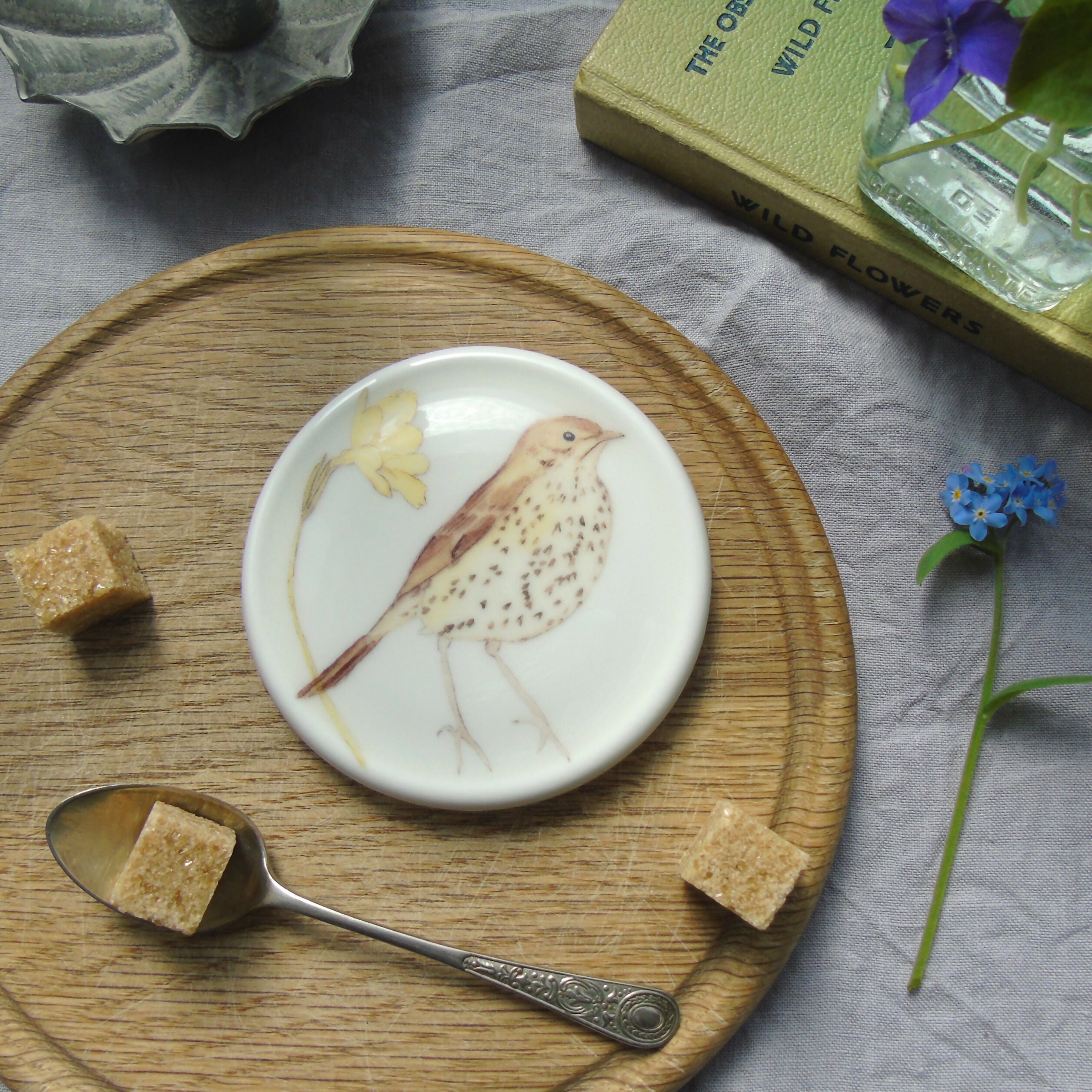 song thrush coaster