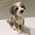 Ceramic Bearded Collie Dog Sculpture