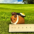 Chef Capybara & Fried Egg Figure