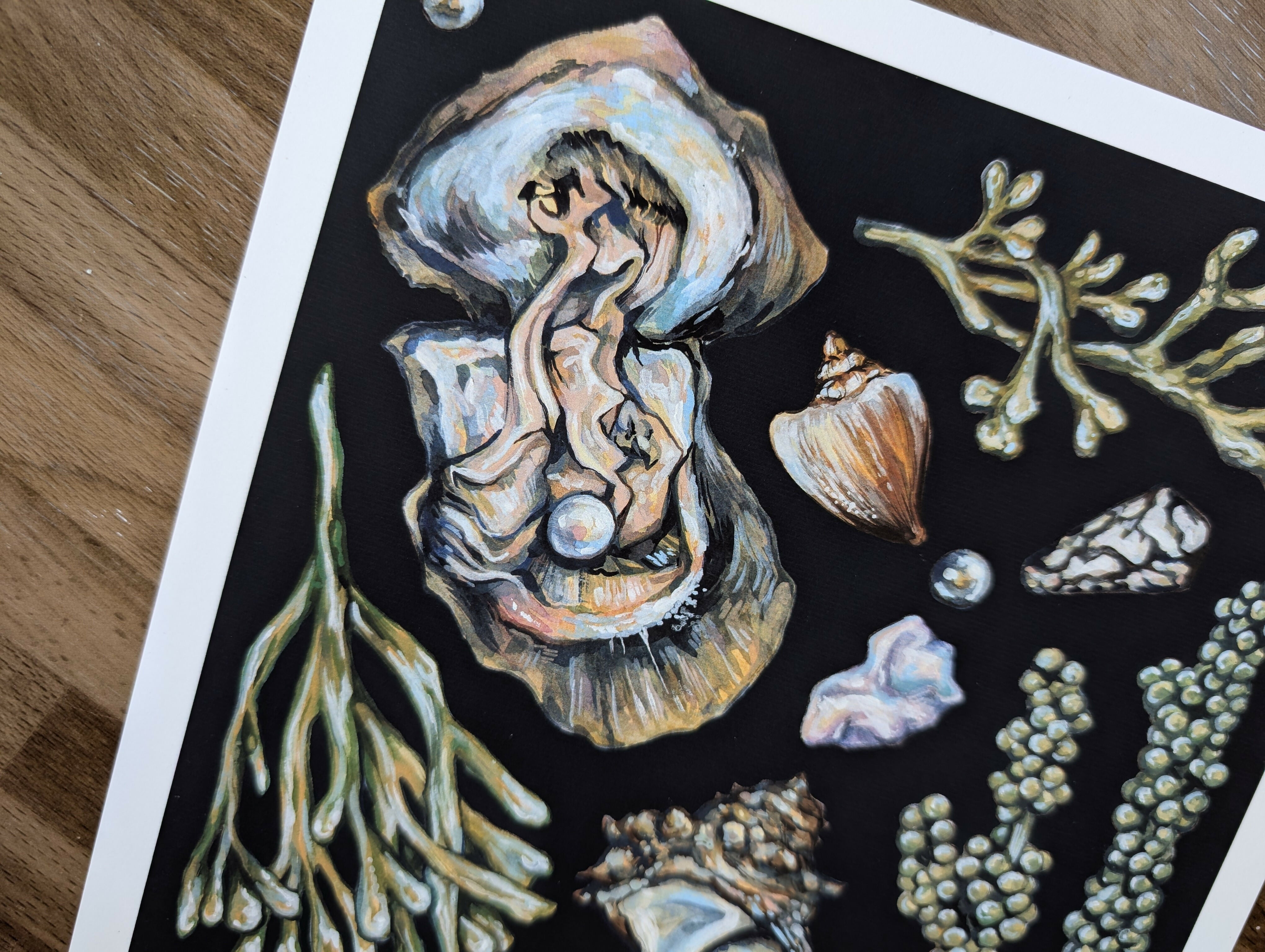 Akoya Oyster Pearl Seafood Illustration, A4 Print