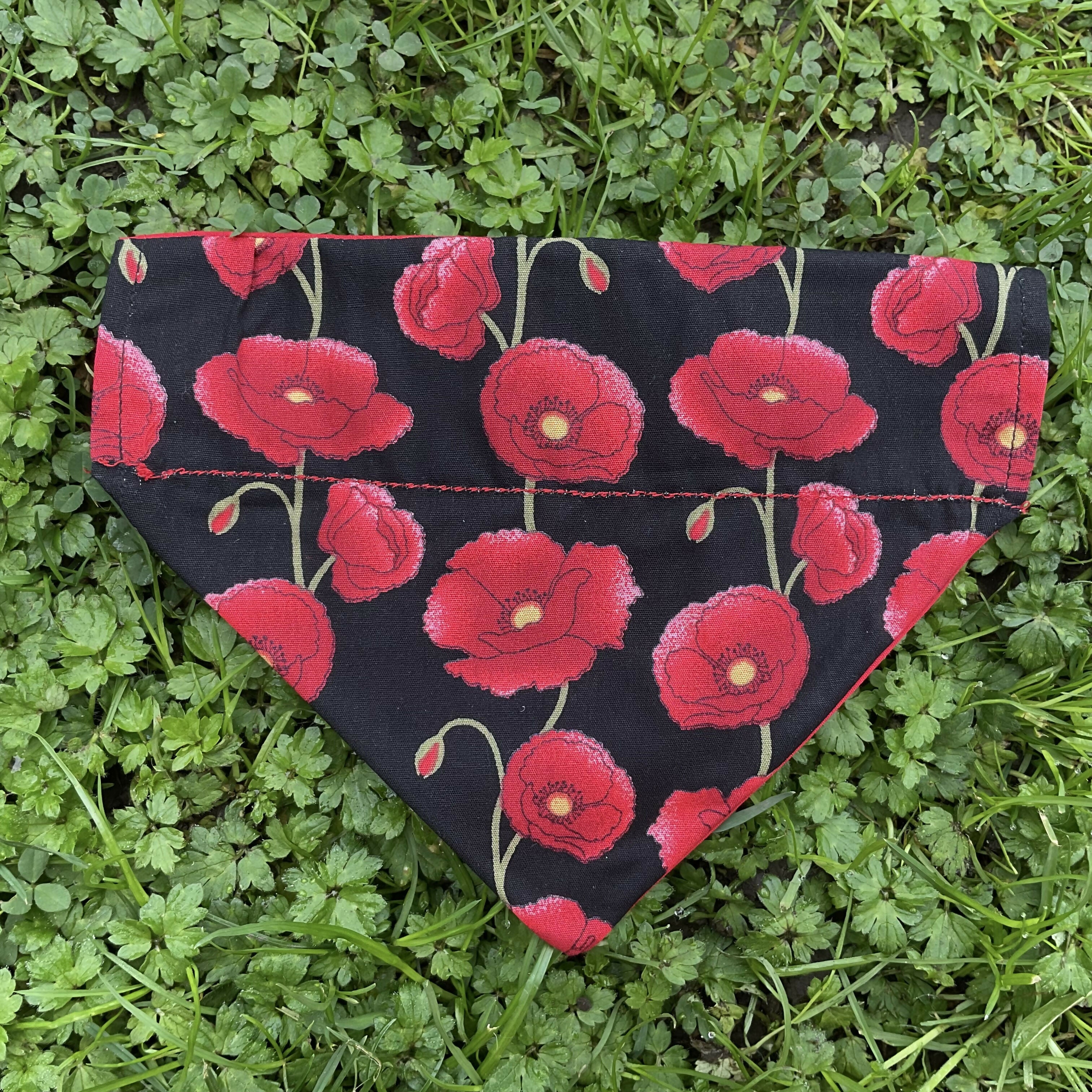 Red and Black Poppy Dog Bandana