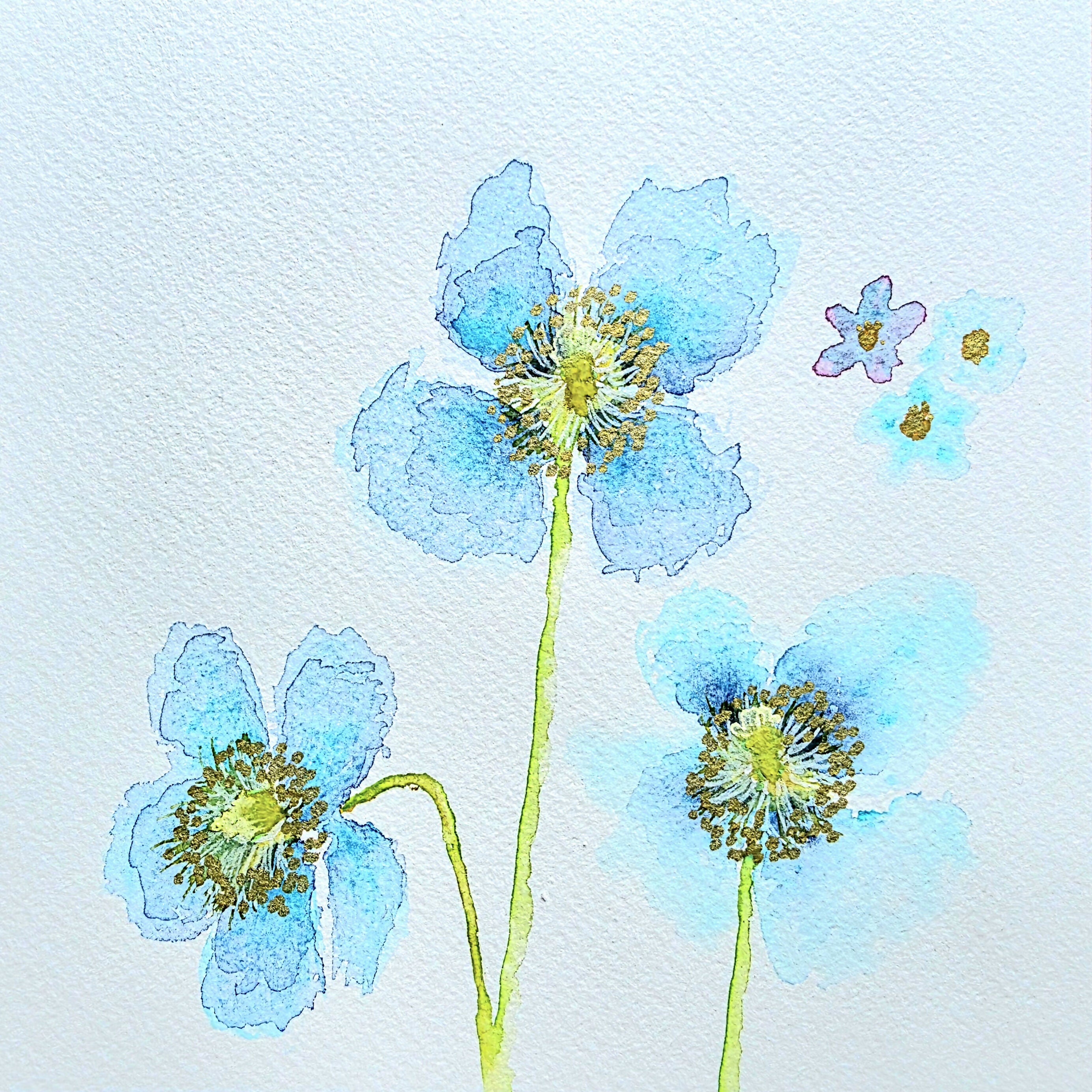 'Meconopsis' Original Mixed Media Painting