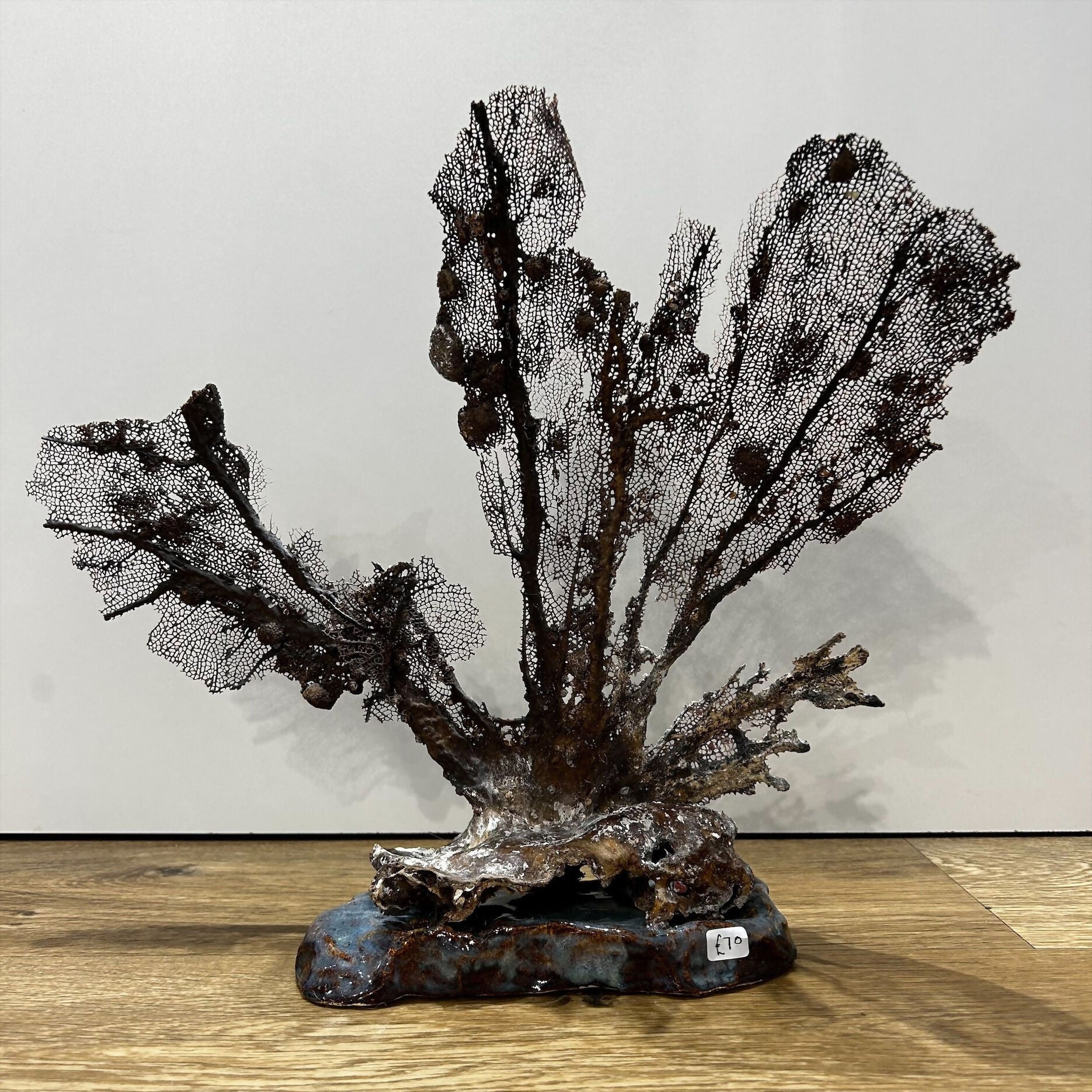 Seafan Coral on Ceramic Rock