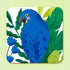 Blue Parrot Coaster