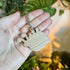 Sadie the Snail Wooden Keyring