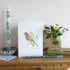 Robin and Snowdrops Greetings Card