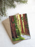 Giant Redwoods Greetings Card