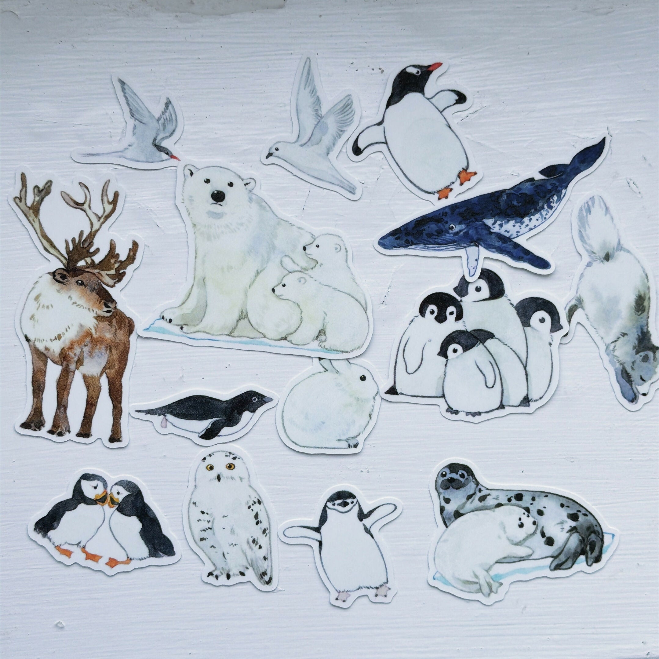 Sticker PACK -vinyl waterproof