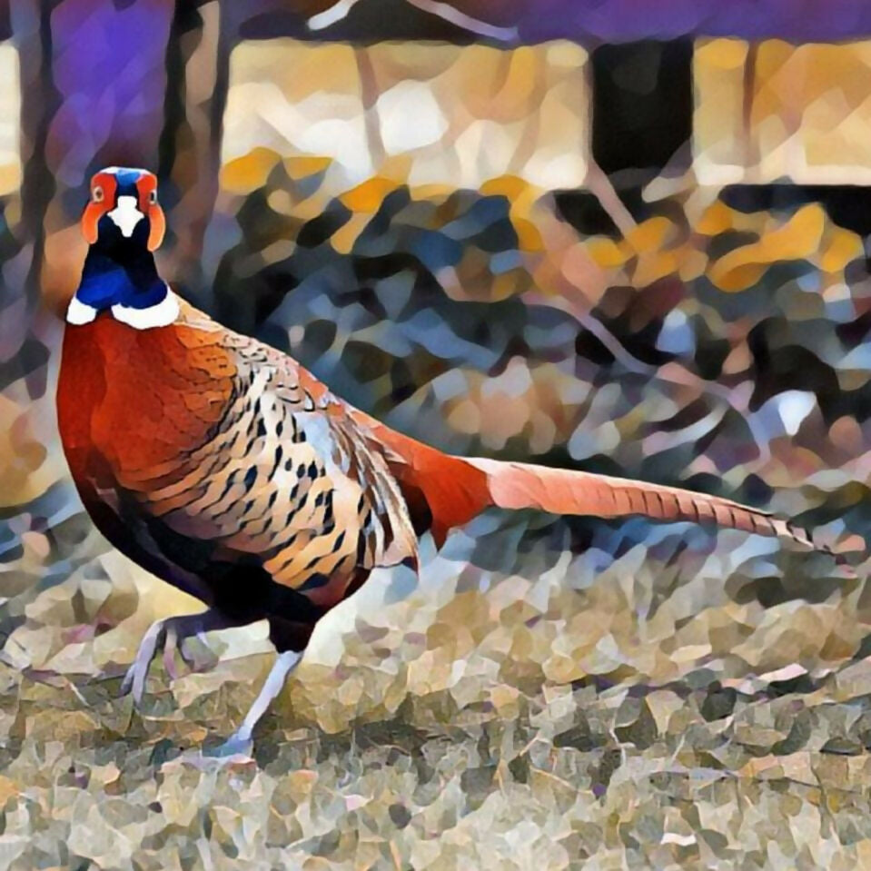 On patrol