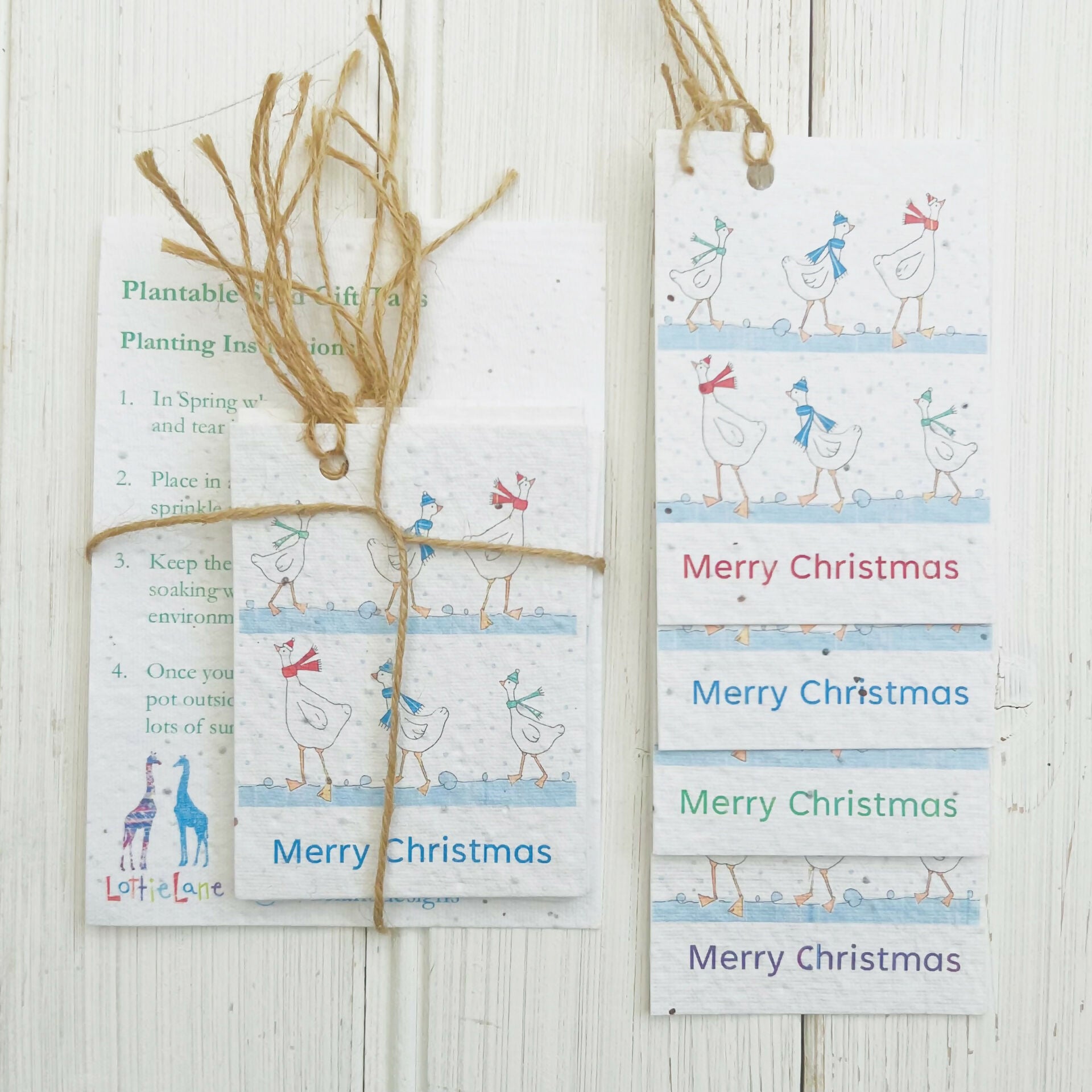 Christmas Seed Gift Tags -Festive Geese