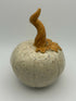 Speckled Pumpkin