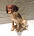 Ceramic german shorthaired pointer dog sculpture