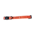 1000108049