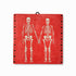 Lovers' Skeletons / Original Artwork / Ready-to-hang Relief Wall Art / Limited Edition of 25