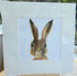 'Curious Hare' - Hand Finished Print