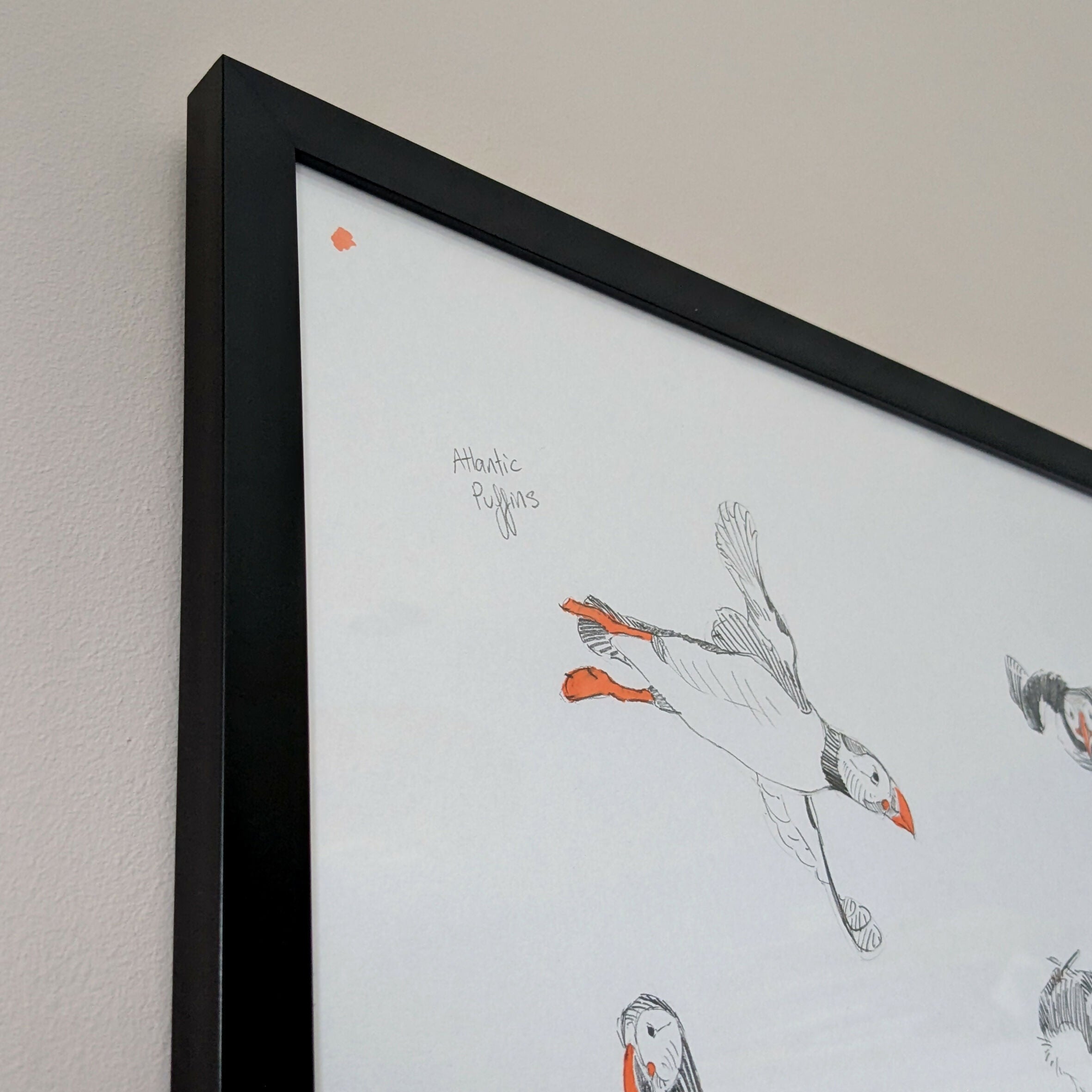 Puffin Sketches - A3 Original Framed