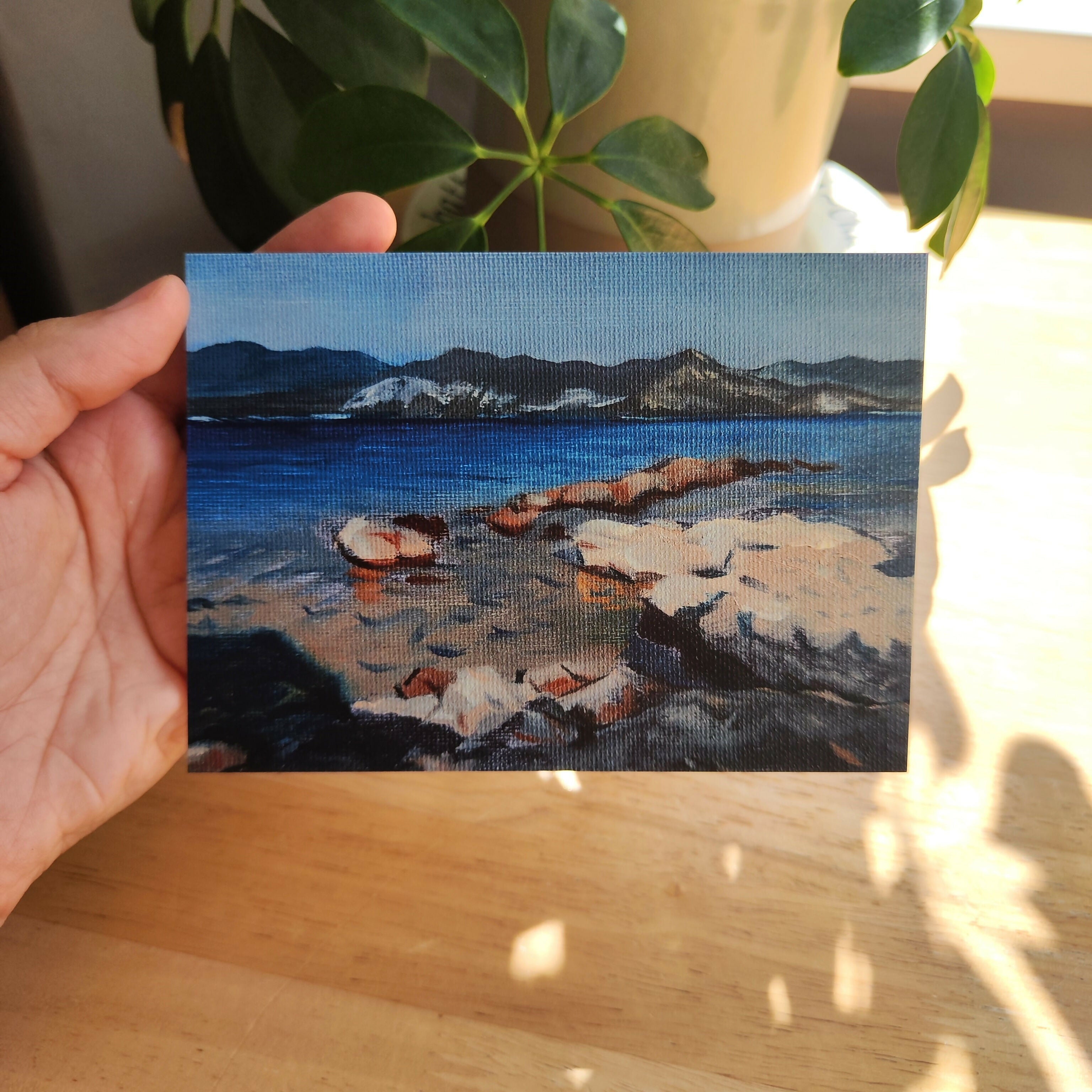 Postcard
