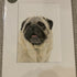 Fine Art Giclée Print of a Pug.
