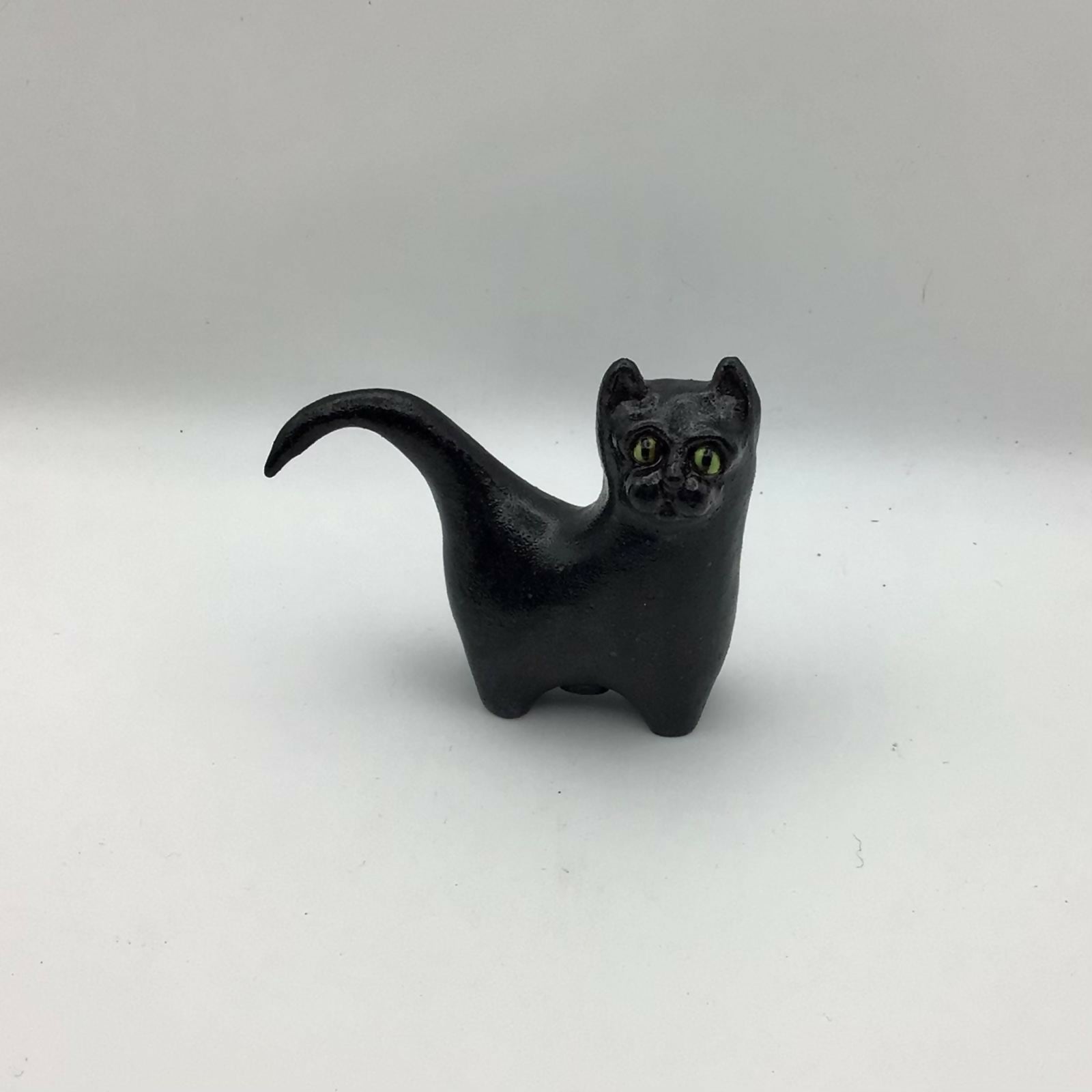 Night Watch Cat
