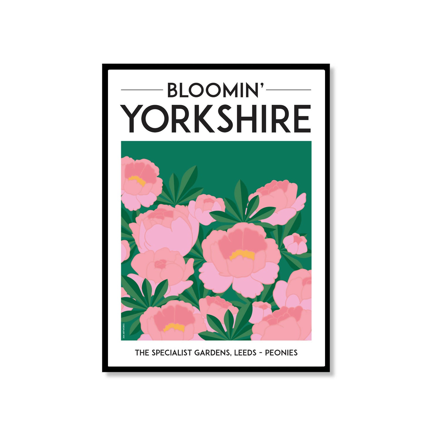 Blooming Yorkshire, The Specialist Gardens Peonies - A3 Framed Print