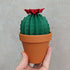 Origami Paper Cactus in Terracotta Pot