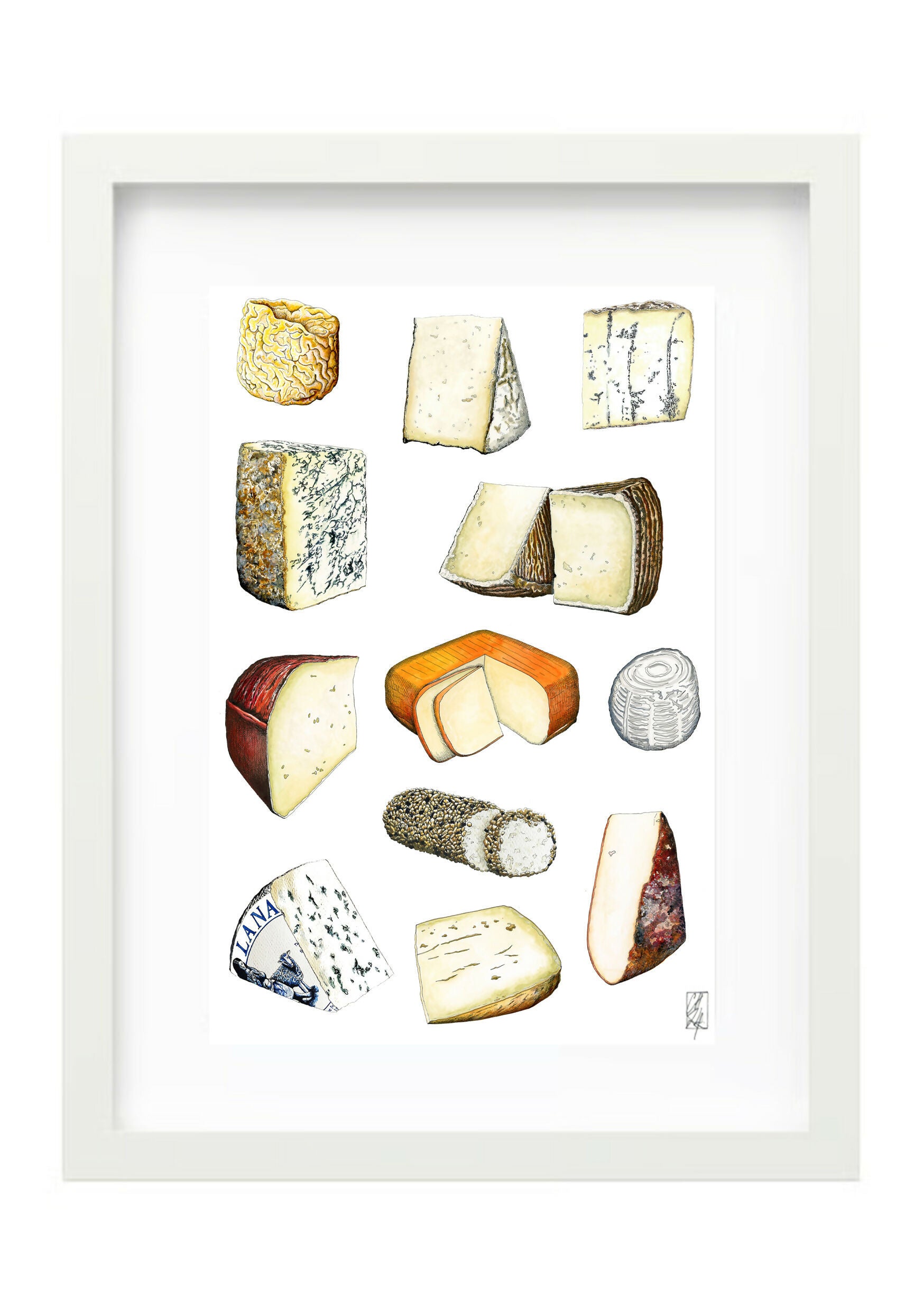 Framed Cheese Illustration in a White Frame