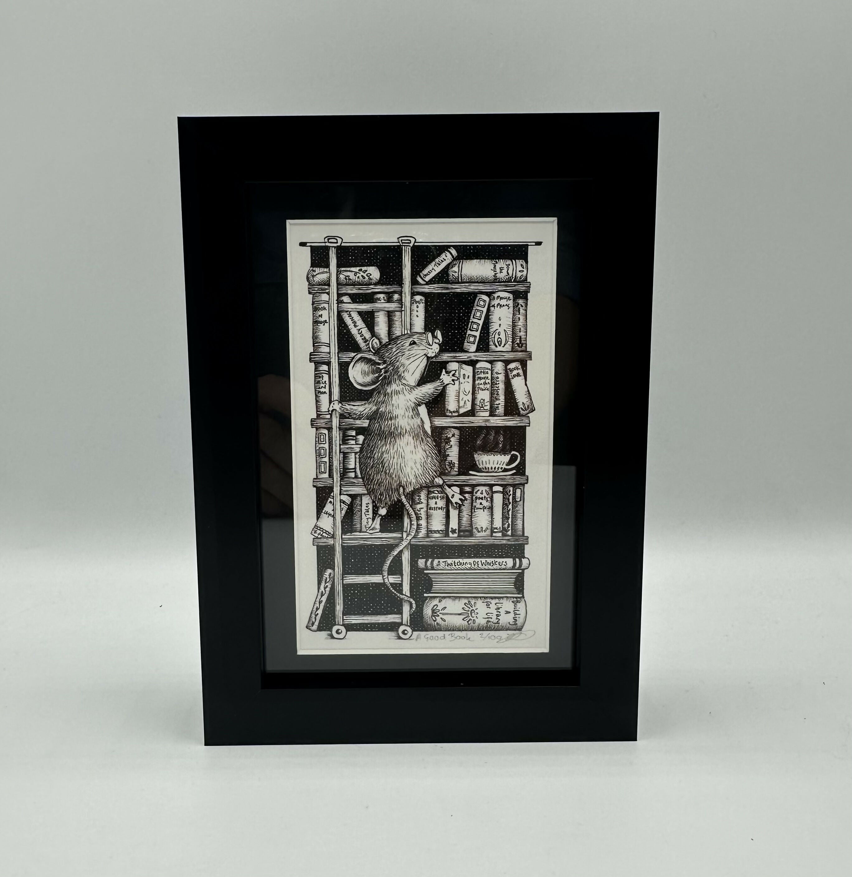 A Good Book - Framed Limited Edition Print - By Jenny Davies