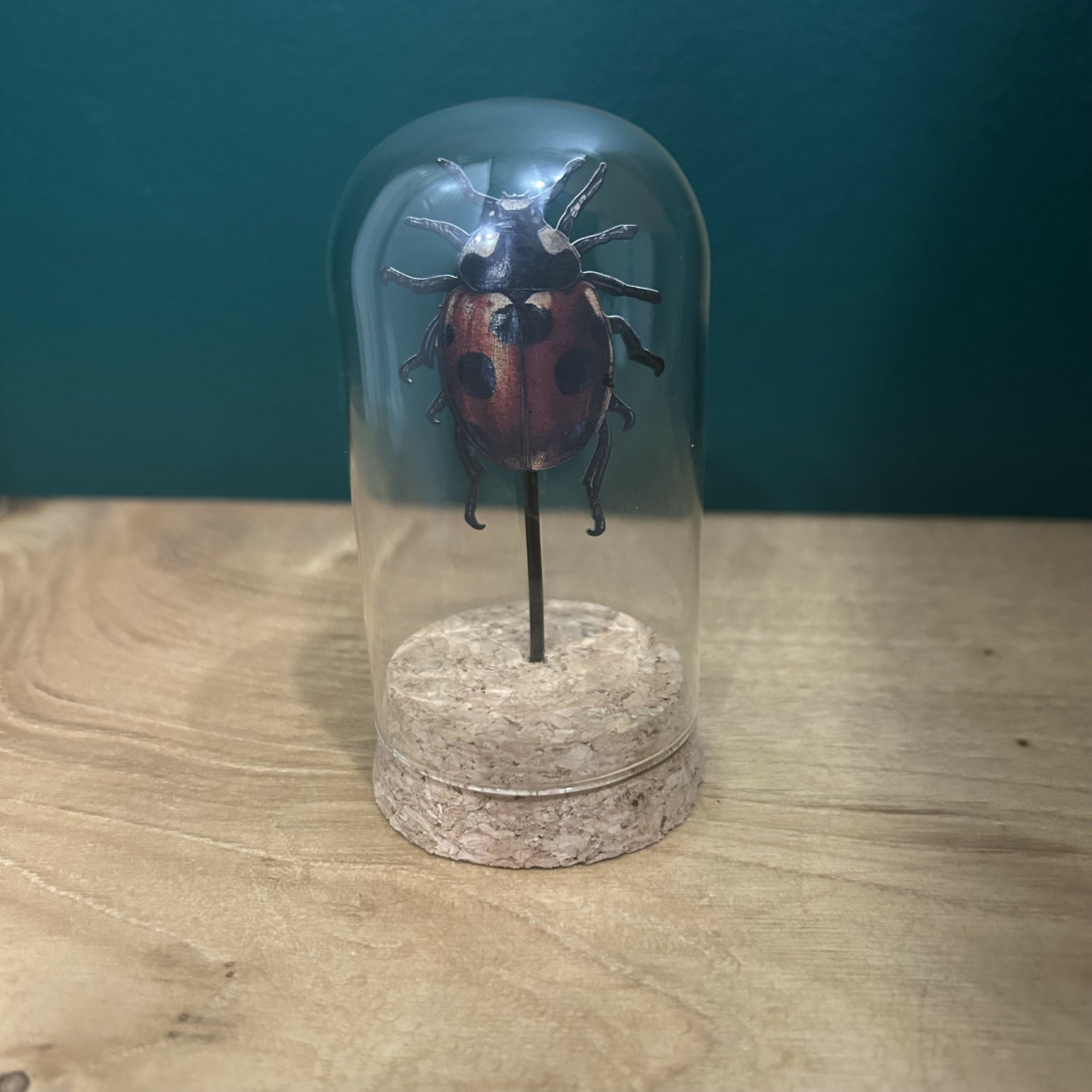 Antique Inspired Lady Bug In A Glass Dome