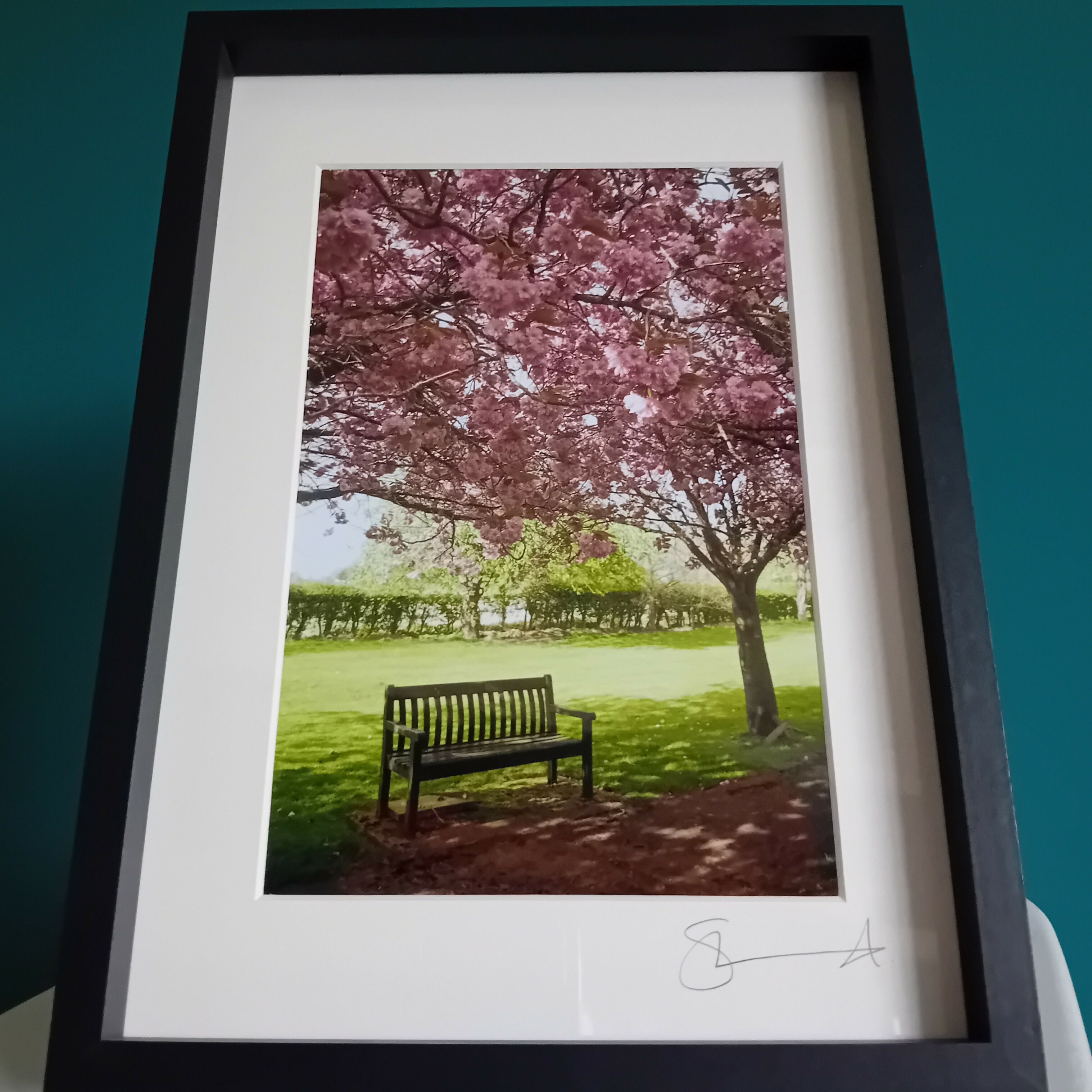 Bench In The Blossom (A4 Frame)