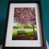 Bench In The Blossom (A4 Frame)