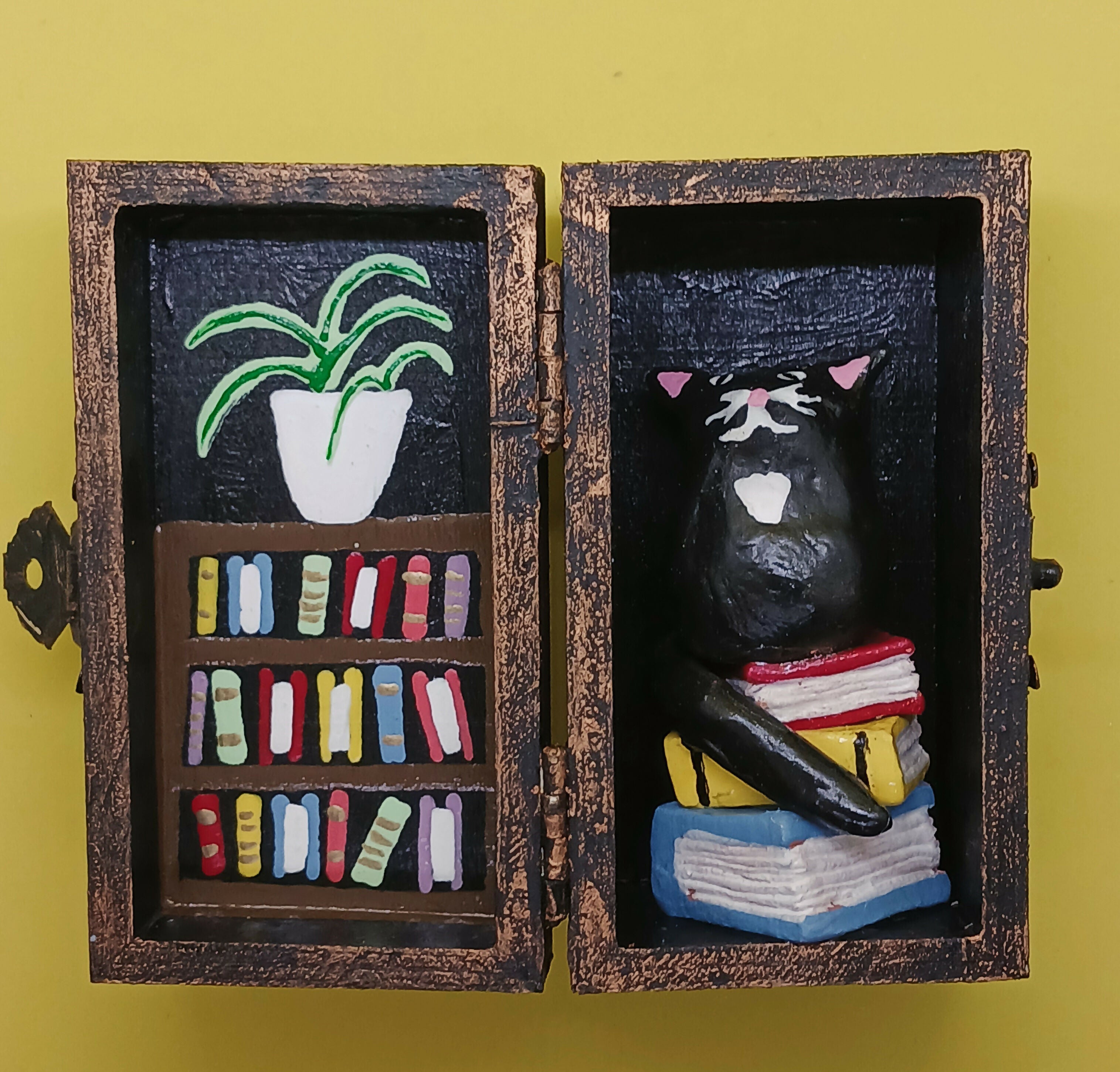Black Cat in a Box with Bookcase