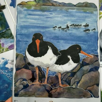 A5 Wild birds Prints