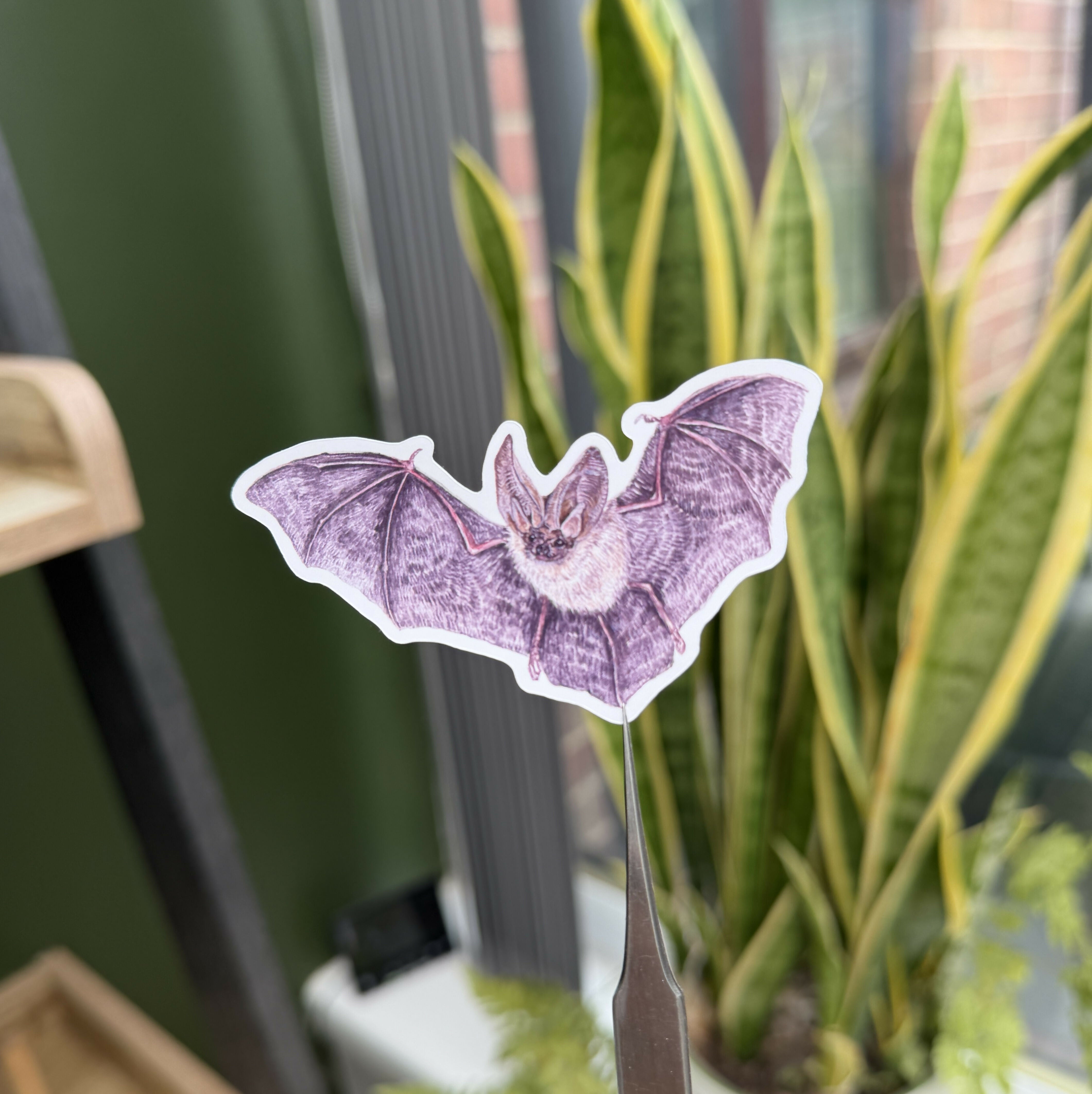 Bewitching Bats - Gloss Sticker Pack