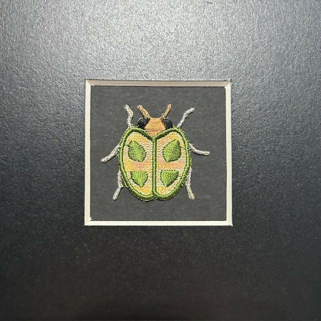 Lovely Embroidered Beetle In A Black Box Frame