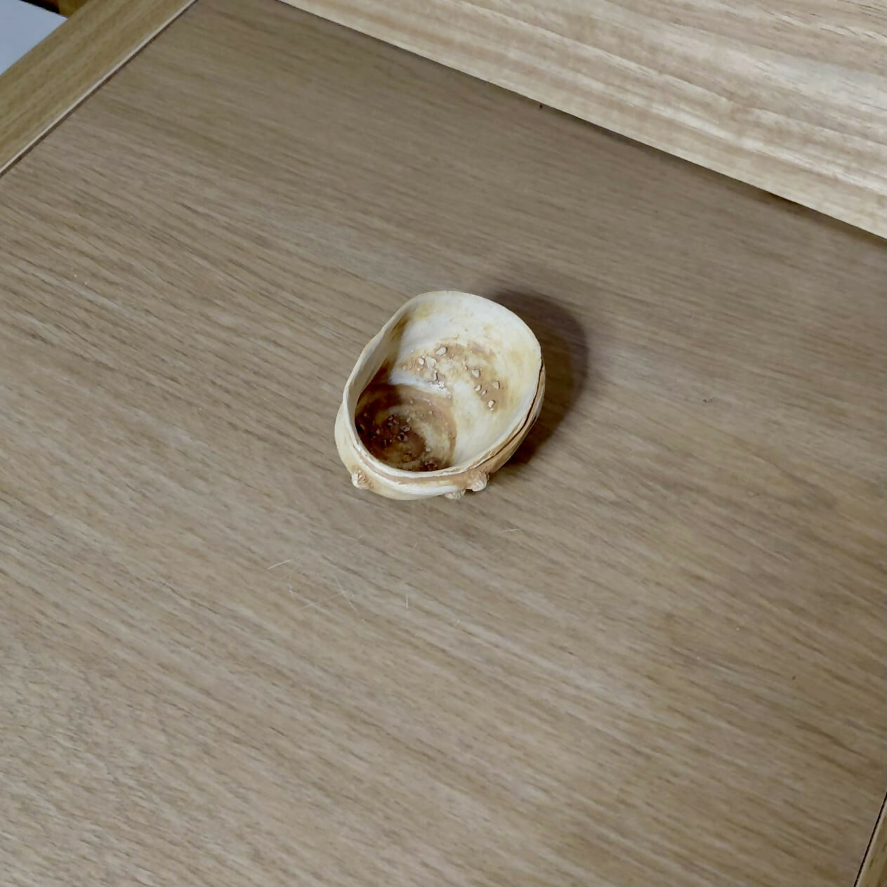 Sandy Shore Mini Bowl