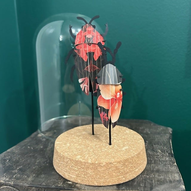 Lovely Glass Dome Featuring Two Red & Black Floral 3D Paper Beetles