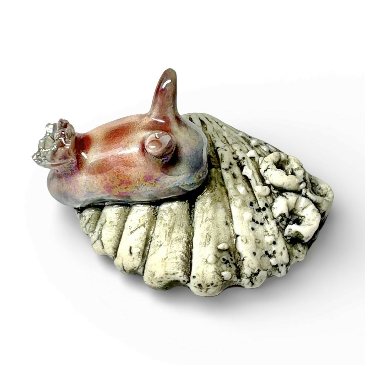 Mother of Pearl Sea Hare