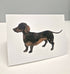Dachshund Greeting Card