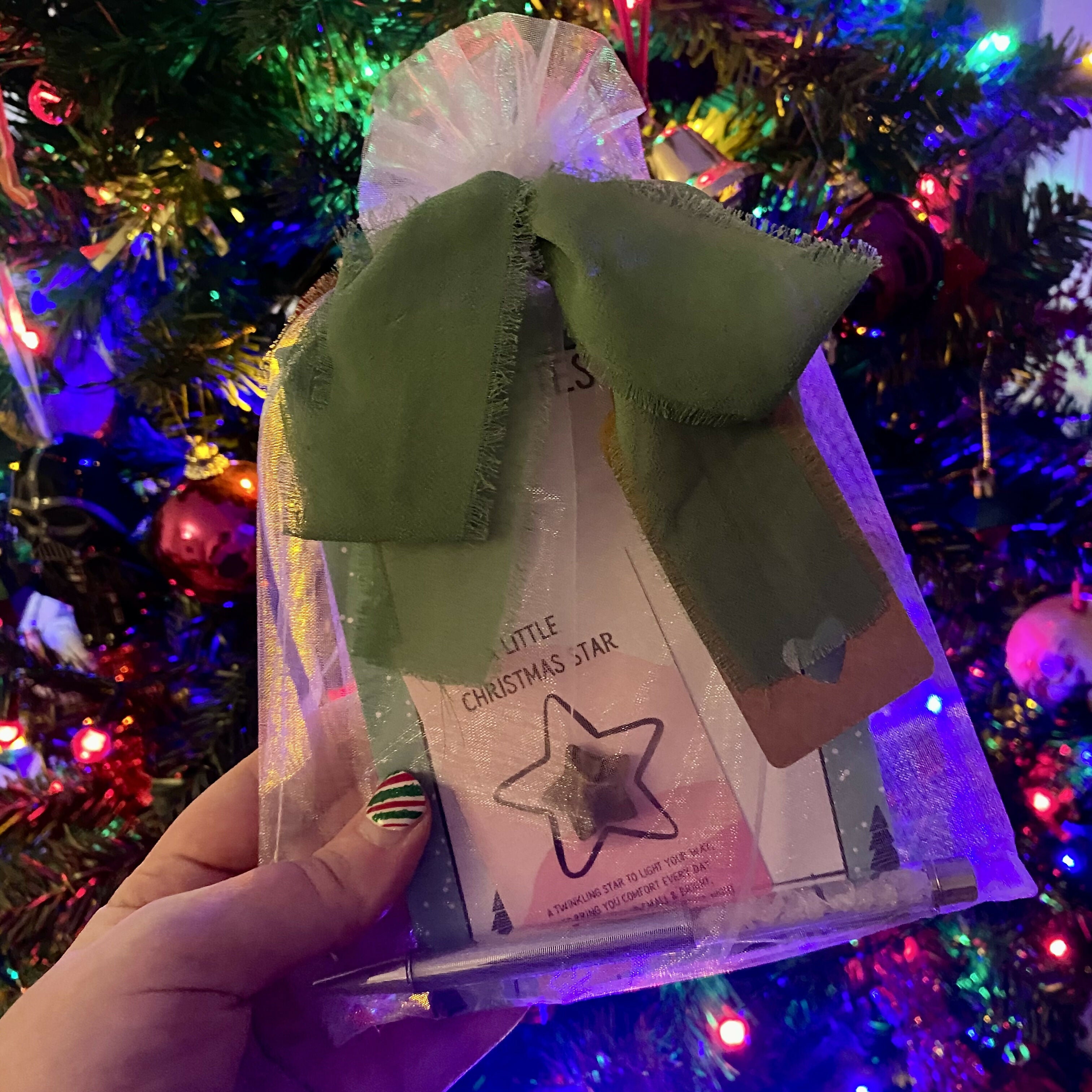 Gift-Ready Stationery Bundle - Winter Trees