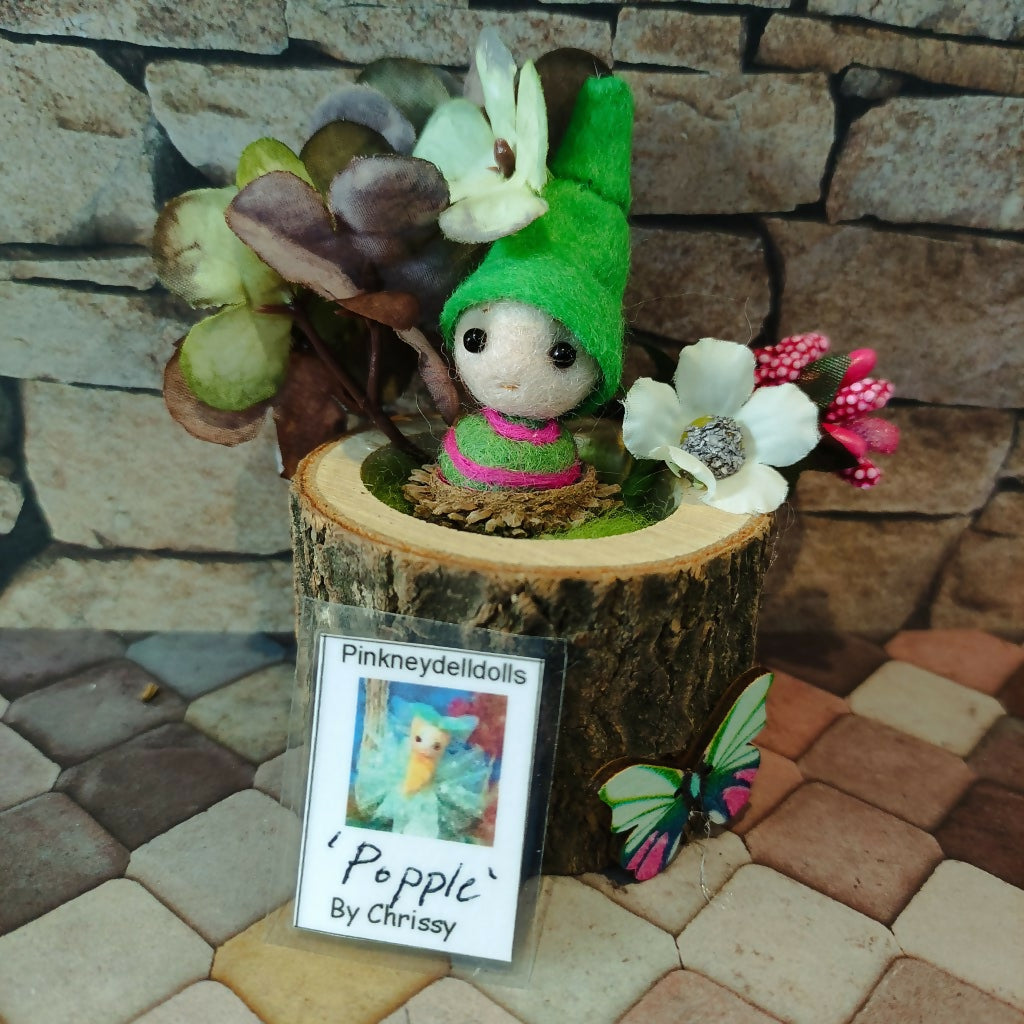 Popple